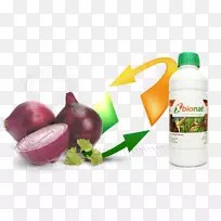 红洋葱食品风味品质SRLs-洋葱-空若网 红洋葱食品风味品质SRLs-洋葱-空若网