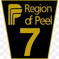 �̱��-���-������