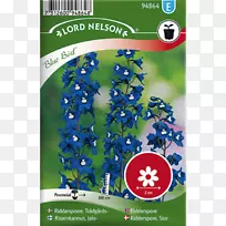 ÖÖ×ÓºÚÑÛ¾¦ËÕɺÆÏÌÑÉ«»¨ºì»¨-¿ÕÈôÍø ÖÖ×ÓºÚÑÛ¾¦ËÕɺÆÏÌÑÉ«»¨ºì»¨-¿ÕÈôÍø