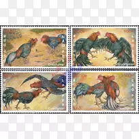 家畜动物野生动物-公鸡搏斗-空若网 家畜动物野生动物-公鸡搏斗-空若网