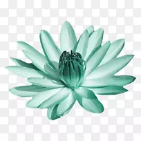 绿色绿松石-空若网 绿色绿松石-空若网