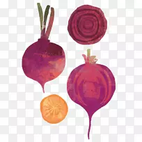 甜菜根蔬菜洋葱插图-洋葱-空若网 甜菜根蔬菜洋葱插图-洋葱-空若网