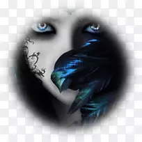 ���ֻ���������-������