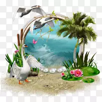 ���ͼ�����-������