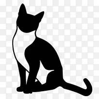 猫关系小猫澳大利亚牧羊人猫-生活世界-空若网 猫关系小猫澳大利亚牧羊人猫-生活世界-空若网