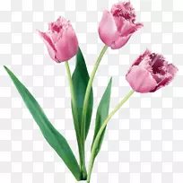 郁金香瓶花玫瑰夹艺术郁金香-空若网 郁金香瓶花玫瑰夹艺术郁金香-空若网