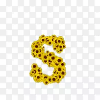 车身珠宝字体-珠宝-空若网 车身珠宝字体-珠宝-空若网