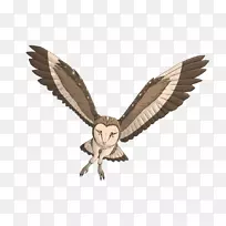 èͷӥ��-������