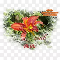 切花开花植物-高级化妆师-空若网 切花开花植物-高级化妆师-空若网