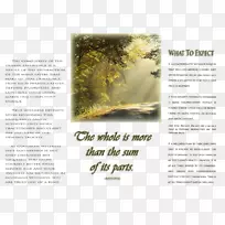 ���ֲ�-��-������