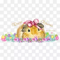 胡须博客-女孩乐队-空若网 胡须博客-女孩乐队-空若网