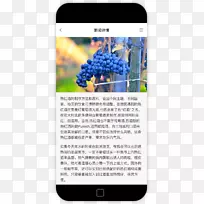 多媒体字体技术-空若网 多媒体字体技术-空若网