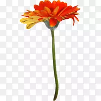 �����л����껨-������