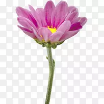 ��԰����ջ�������-��-������