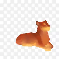 胡须,猫,狗,犬科,鼻子,猫-空若网 胡须,猫,狗,犬科,鼻子,猫-空若网