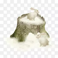 巴蒂利娅·瓦达·阿米斯小雕像糖果上写着-拉宾-空若网 巴蒂利娅·瓦达·阿米斯小雕像糖果上写着-拉宾-空若网