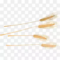 ��Ʒ��-�ƽ�С��-������