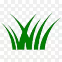 叶标草植物茎字体叶-空若网 叶标草植物茎字体叶-空若网