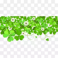 三叶草-空若网 三叶草-空若网