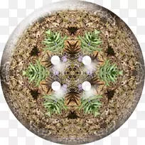 树花盆-树-空若网 树花盆-树-空若网