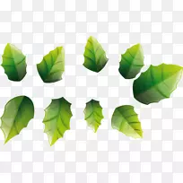 生日博客父亲节设计-空若网 生日博客父亲节设计-空若网