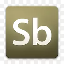 ��Ƶ�ļ���ʽadobe����������������α���-������