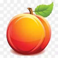 ���ң����ӣ�ˮ��-������