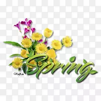 ��������л�����-������