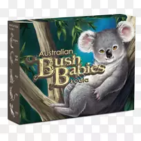 考拉动物鼻子-考拉-空若网 考拉动物鼻子-考拉-空若网