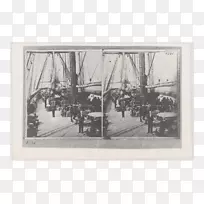 �����ɫ����-������