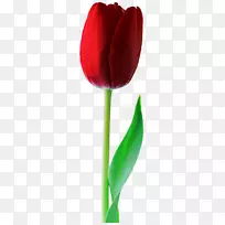 �������л�-������