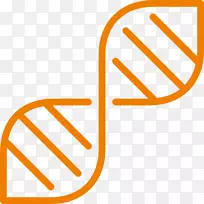 DNA遗传学生物学研究科学-空若网 DNA遗传学生物学研究科学-空若网