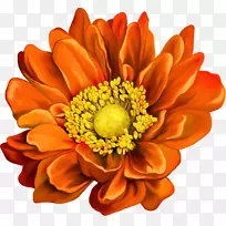 植物插图水彩画-空若网 植物插图水彩画-空若网