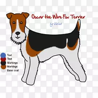 培育小狗鼻子夹艺术-小狗-空若网 培育小狗鼻子夹艺术-小狗-空若网