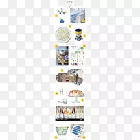 Patera����lsa���ʵ���-������