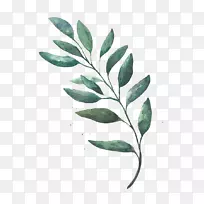 水彩画叶画水彩画叶-空若网 水彩画叶画水彩画叶-空若网