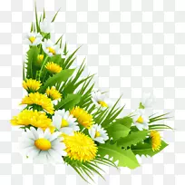 ֲ�ﻨ�ջ���ջ�-������