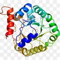 人体首饰有机体线剪贴画线-空若网 人体首饰有机体线剪贴画线-空若网