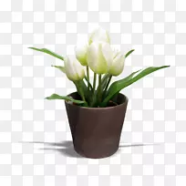 Óô½ðÏã¼ô»¨¹Ý-¿ÕÈôÍø Óô½ðÏã¼ô»¨¹Ý-¿ÕÈôÍø