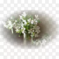 ������ƿ���賧����ƿ-������