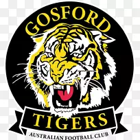 里士满足球俱乐部2018年AFL赛季澳大利亚规则布里斯班狮子阿德莱德足球俱乐部-空若网 里士满足球俱乐部2018年AFL赛季澳大利亚规则布里斯班狮子阿德莱德足球俱乐部-空若网