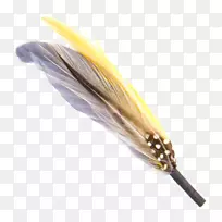 羽毛-羽毛-空若网 羽毛-羽毛-空若网