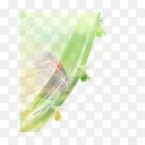 昆虫近距植物茎昆虫-空若网 昆虫近距植物茎昆虫-空若网