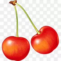 ӣ�ҹ�����-ӣ��PNGͼ��-������