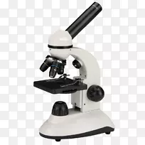 立体显微镜-空若网 立体显微镜-空若网