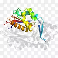 昆虫图形设计传粉器剪贴画昆虫-空若网 昆虫图形设计传粉器剪贴画昆虫-空若网