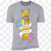 t��ñ������t��-������