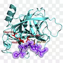 �ӵ���øԭ����˿���ᵰ��ø-������