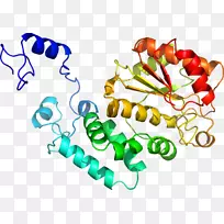 人体首饰有机体线剪贴画线-空若网 人体首饰有机体线剪贴画线-空若网