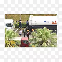 运输树木种植车辆-树木-空若网 运输树木种植车辆-树木-空若网